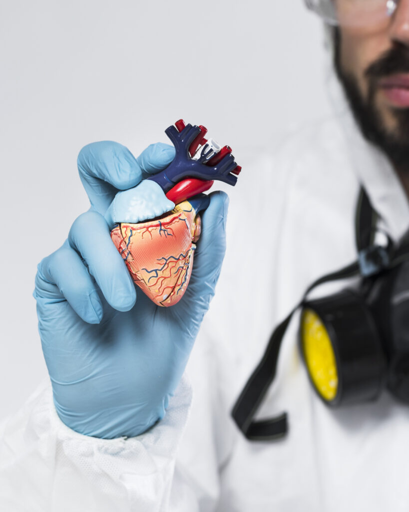 close-up-adult-male-holding-sample-heart