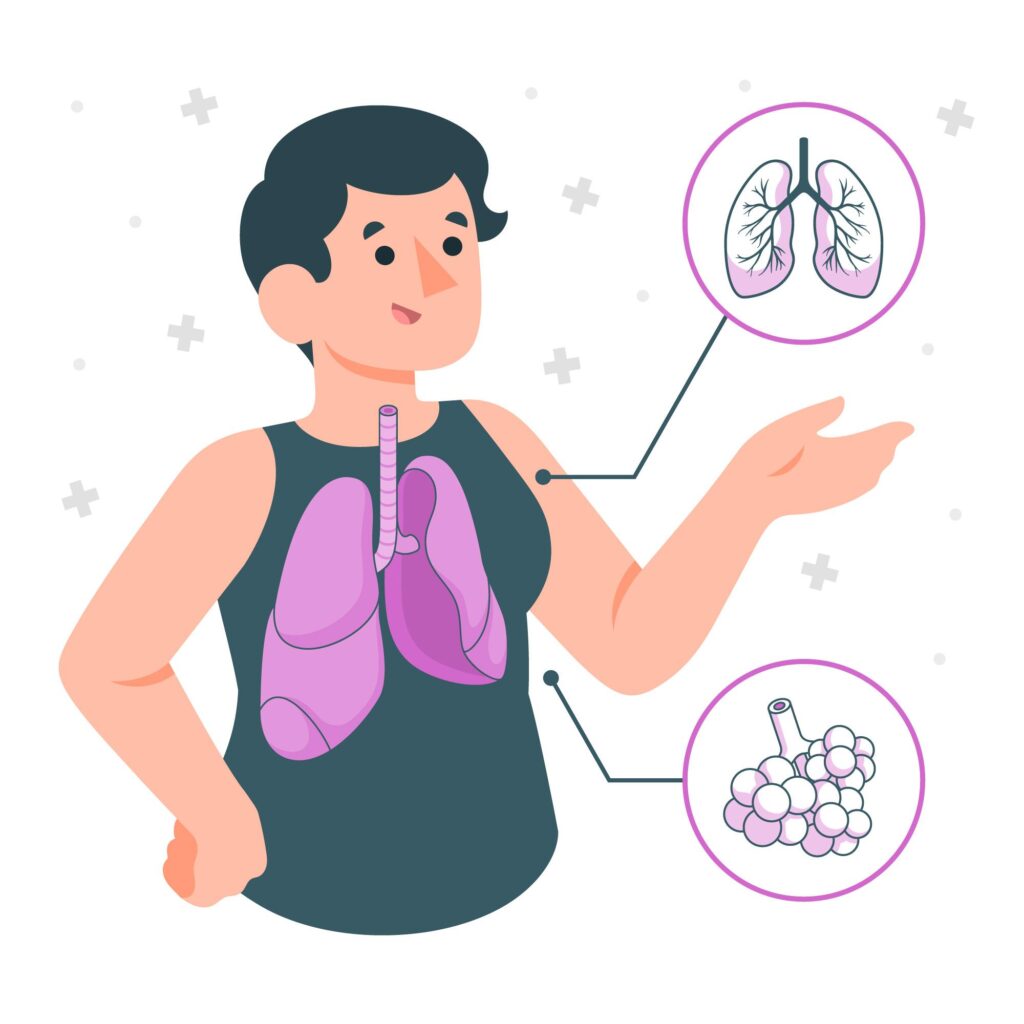 Alveoli Pronunciation